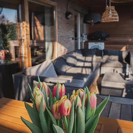 Een Briesje Aan Zee * Le Coq